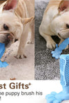 Dog Teeth Grinding Toy Dog Chew Toys Puppy High Tensile Silicone Pet Molar Bromopnea Teeth Cleaning Tool Interactive Toothbrush