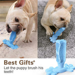 Dog Teeth Grinding Toy Dog Chew Toys Puppy High Tensile Silicone Pet Molar Bromopnea Teeth Cleaning Tool Interactive Toothbrush