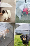Dog Umbrella with Leash for Small Pets, Umbrella for Dogs Fits 20” Back Length Pets,J-Shape Handle,Clear Umbrella Surface