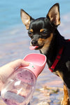 Travel Puppy Big Dog Cat Drinking Bowl Convenient Pet Water Bottle for Dogs Animals Kettle Feeder Container Mascotas Accessories