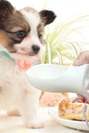 Travel Puppy Big Dog Cat Drinking Bowl Convenient Pet Water Bottle for Dogs Animals Kettle Feeder Container Mascotas Accessories