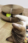 Magic Organ Foldable Cat Scratch Board Toy with Bell Cat Grinding Claw Cat Climbing Frame round Corrugated Cats Interactive Toys